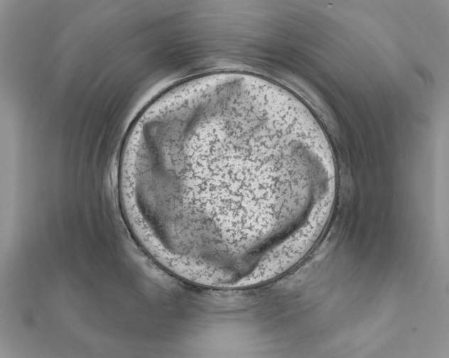 X0000112061198200909010956