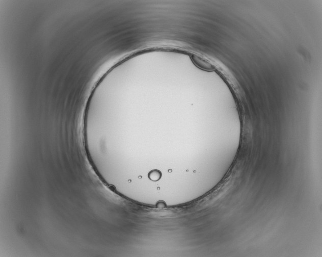 X0000112061199200909010956