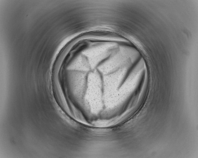 X0000112061200200909010956