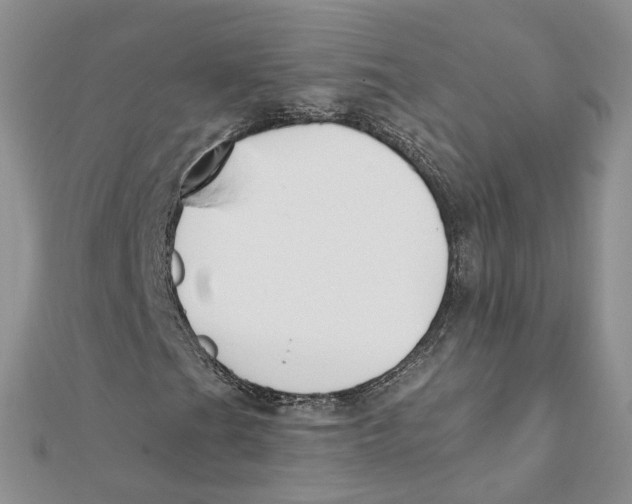 X0000112061201200909010955