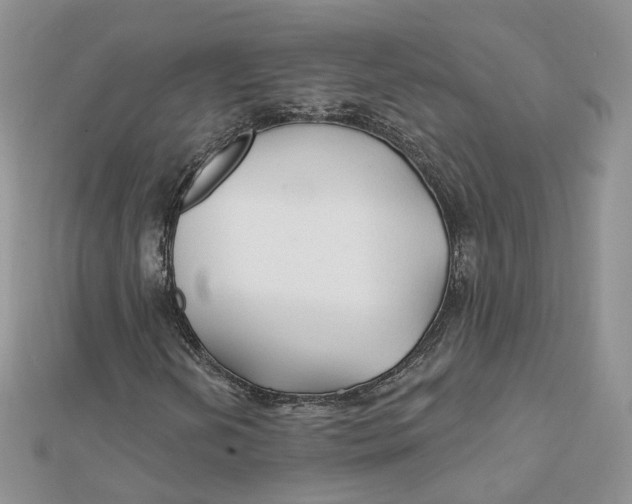 X0000112061202200909010955