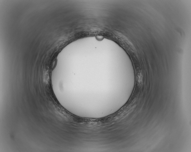 X0000112061204200909010955