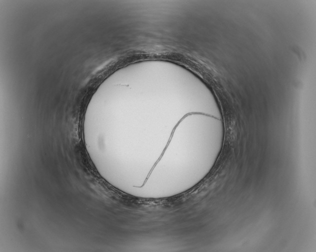 X0000112061205200909010955