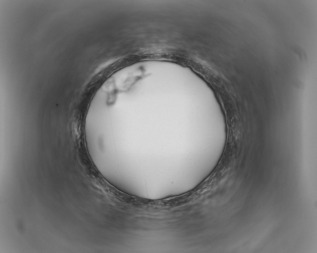 X0000112061206200909010955