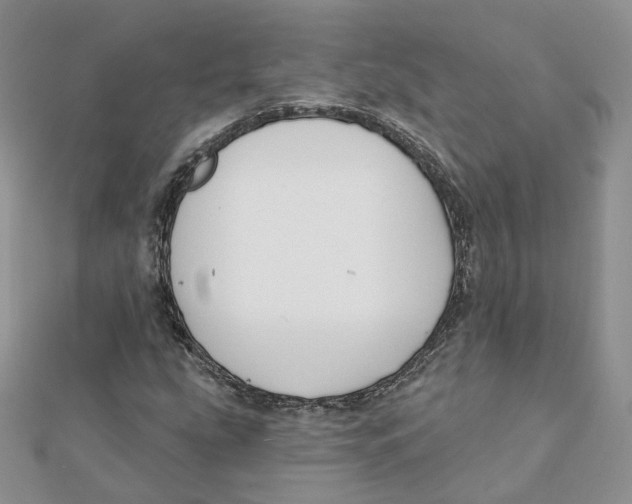 X0000112061207200909010955