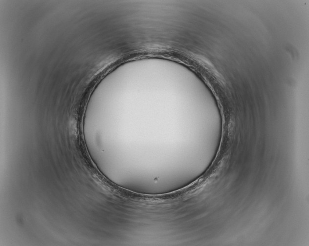 X0000112061209200909010955