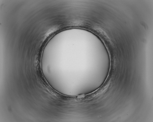 X0000112061210200909010955