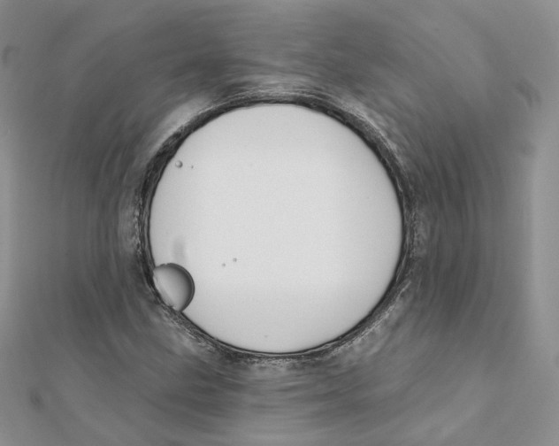 X0000112061211200909010955