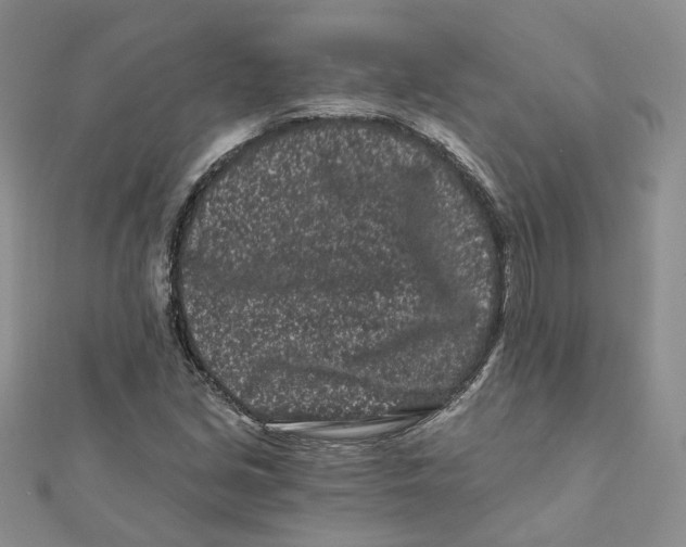 X0000112061213200909010955