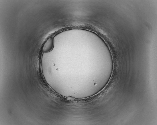 X0000112061214200909010955