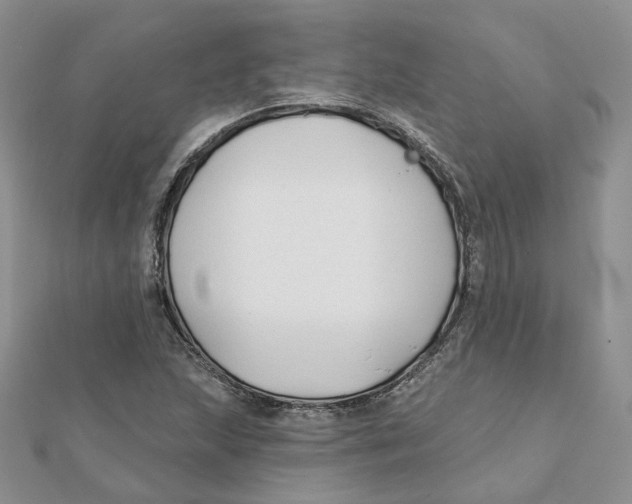 X0000112061215200909010955