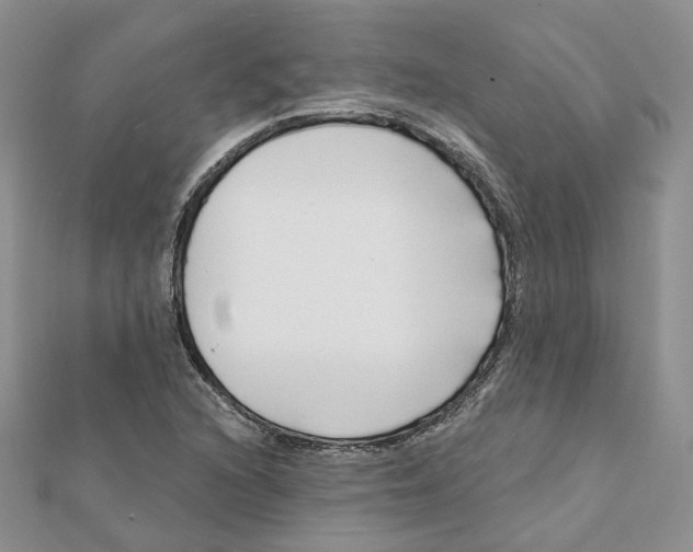 X0000112061216200909010955