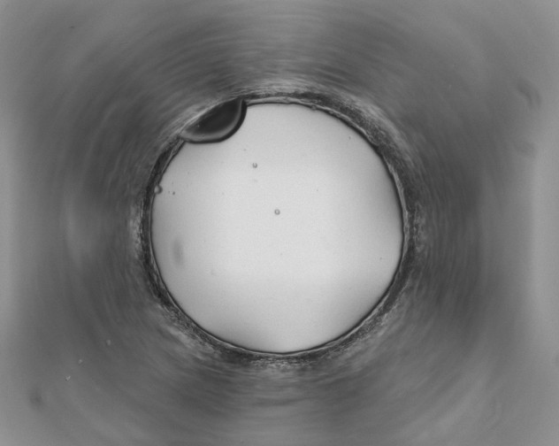 X0000112061217200909010955