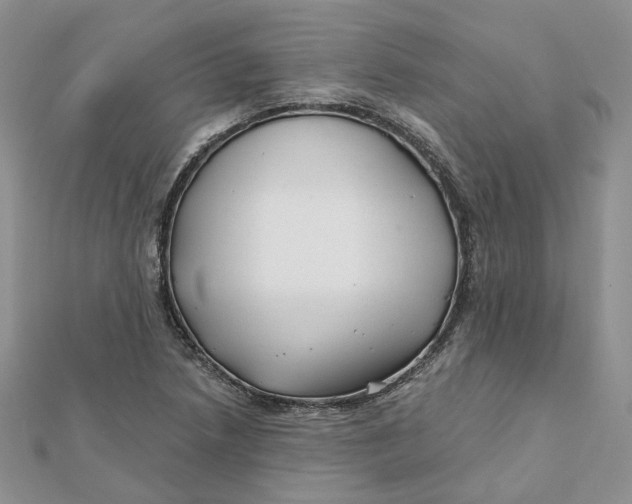 X0000112061218200909010955