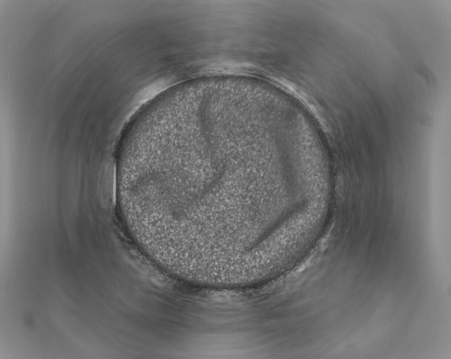 X0000112061219200909010956