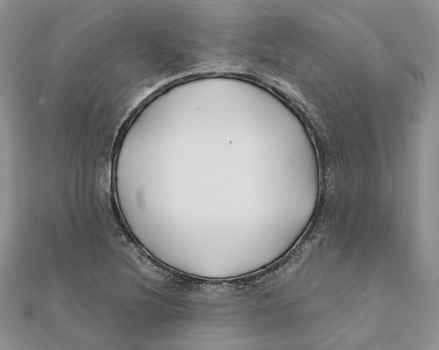 X0000112061220200909010956