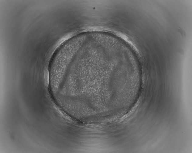 X0000112061221200909010956