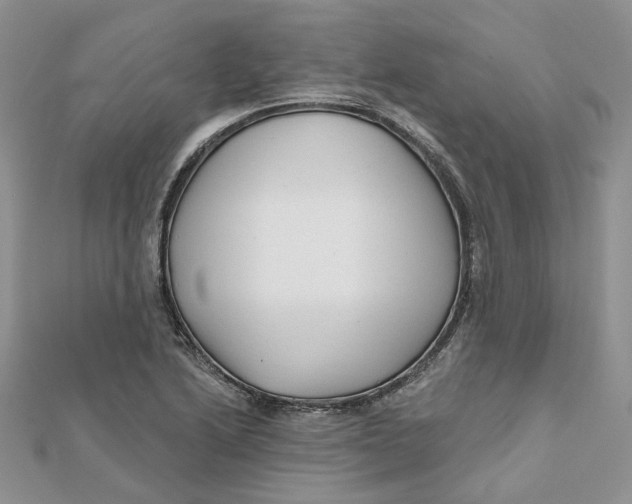 X0000112061222200909010956