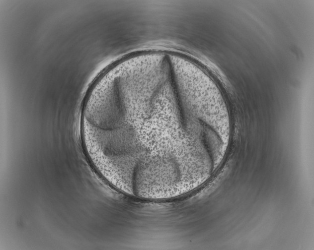 X0000112061224200909010956