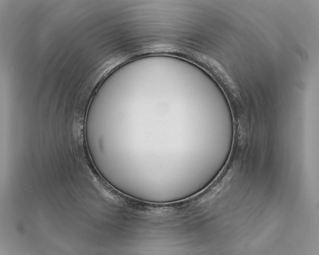 X0000112061225200909010956