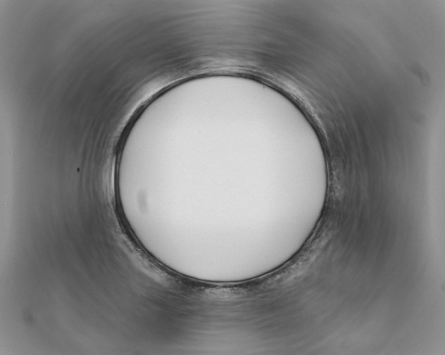 X0000112061227200909010956