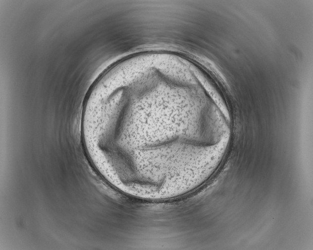 X0000112061228200909010956