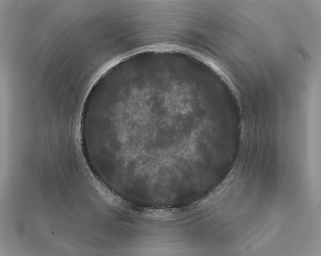 X0000112061229200909010956