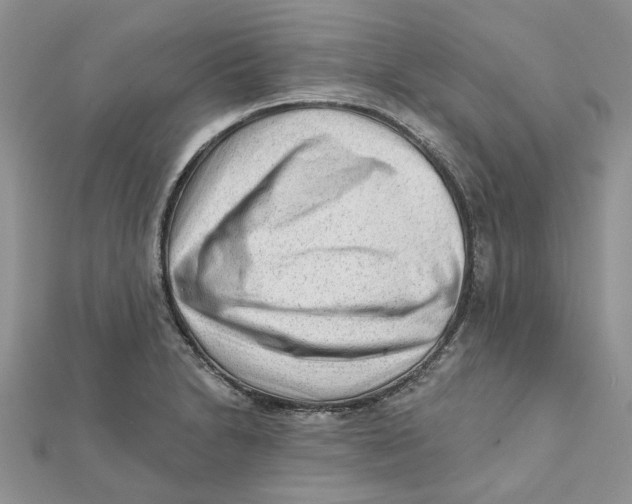 X0000112061230200909010956