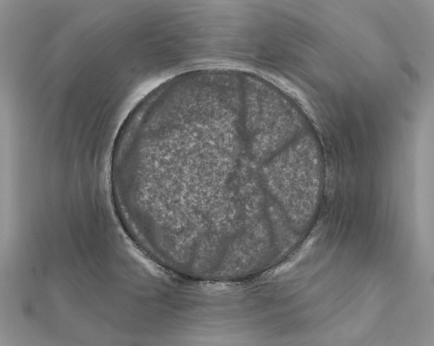 X0000112061231200909010956