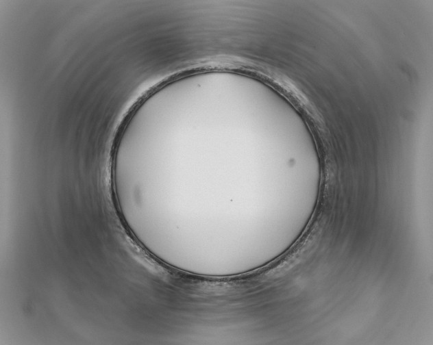 X0000112061232200909010956