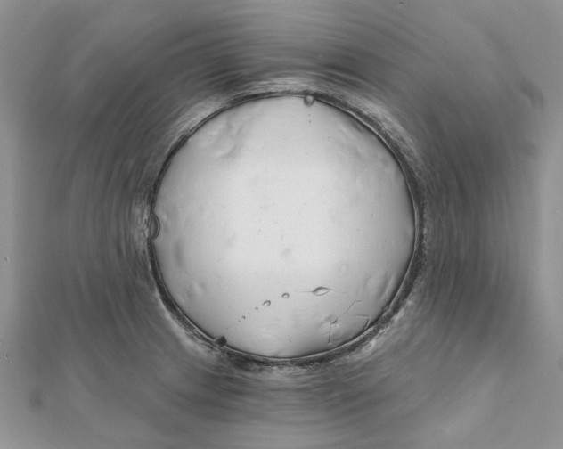 X0000112061233200909010956