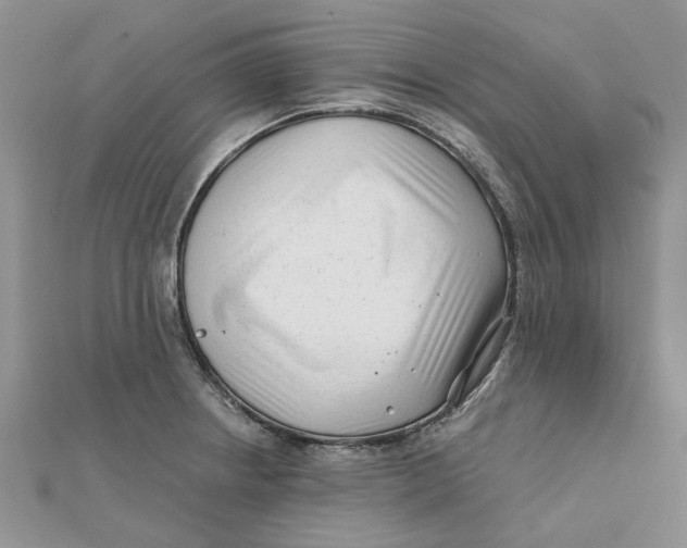 X0000112061234200909010956