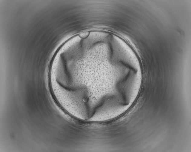 X0000112061235200909010956