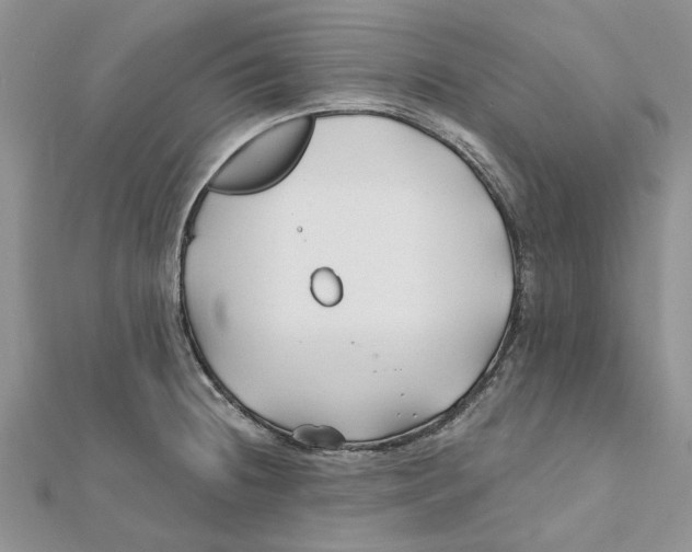 X0000112061236200909010956