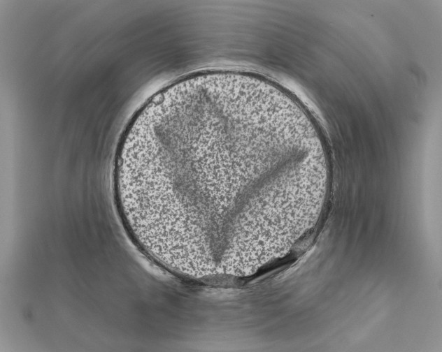 X0000112061237200909010956