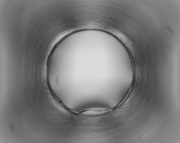 X0000112061238200909010956