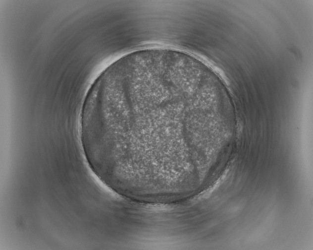 X0000112061239200909010956