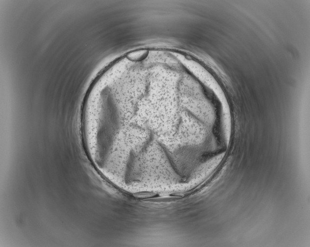 X0000112061240200909010956