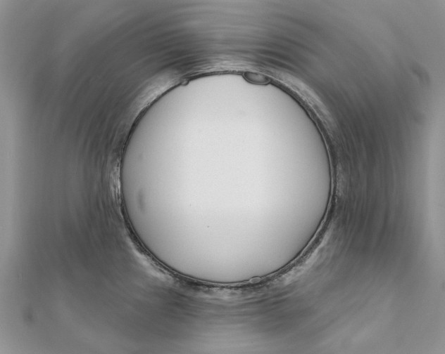 X0000112061241200909010956