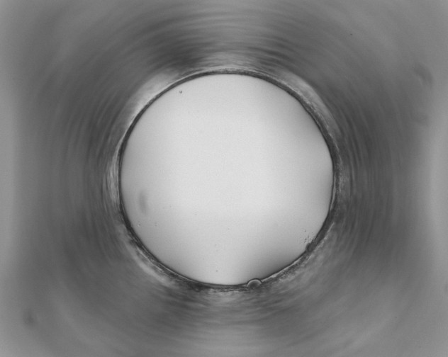 X0000112061242200909010956