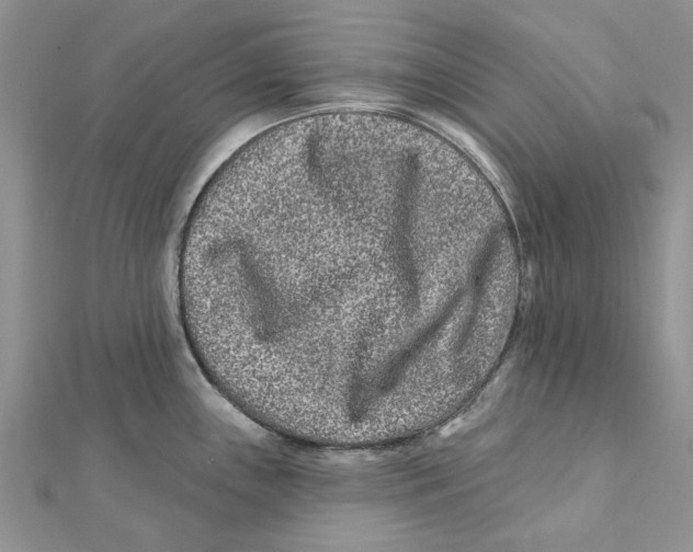 X0000112061243200909010956