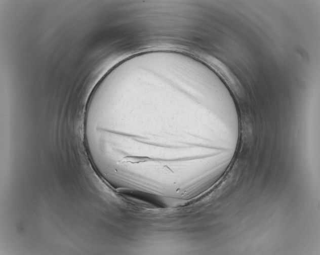 X0000112061244200909010956