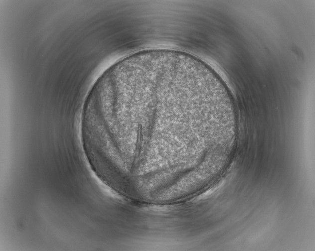 X0000112061245200909010956