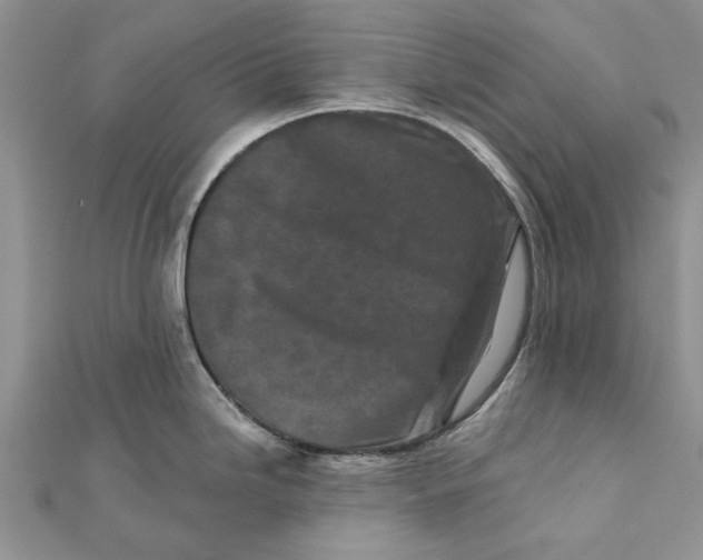 X0000112061246200909010956