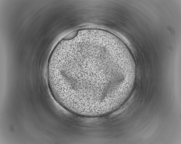 X0000112061247200909010956