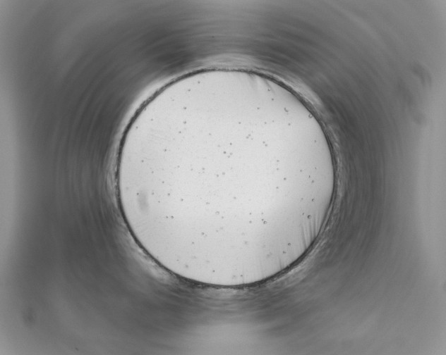 X0000112061248200909010956