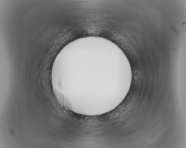 X0000112061249200909010955