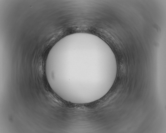 X0000112061250200909010955