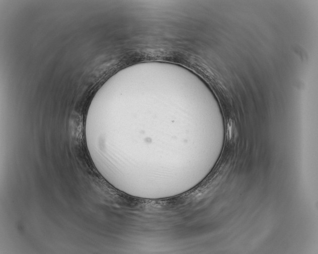 X0000112061251200909010955