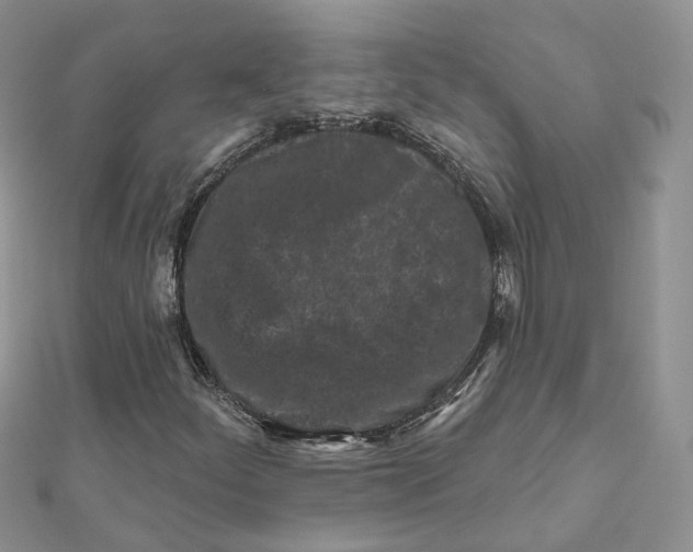 X0000112061252200909010955